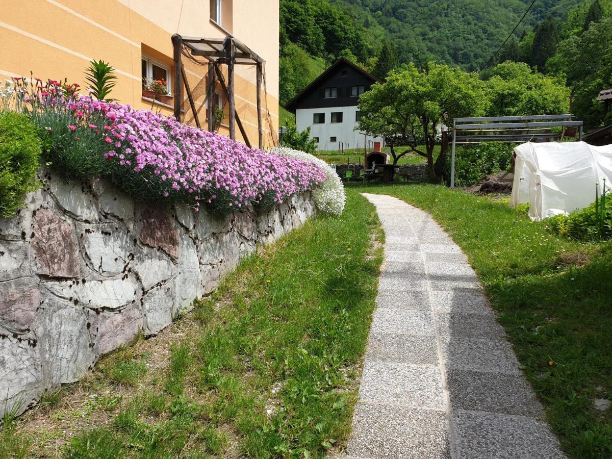 Apartment And Garden House Among The Mountains Podbrdo Exteriér fotografie