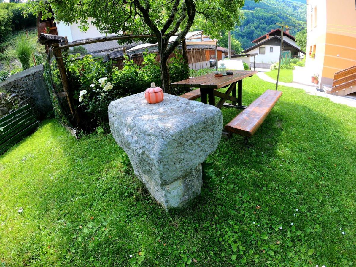 Apartment And Garden House Among The Mountains Podbrdo Exteriér fotografie